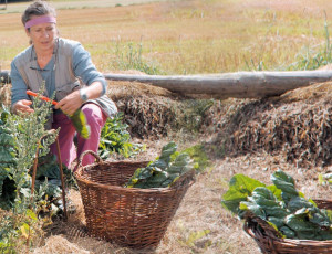 El agua GRANDER&reg; en Country Inn Paulus 